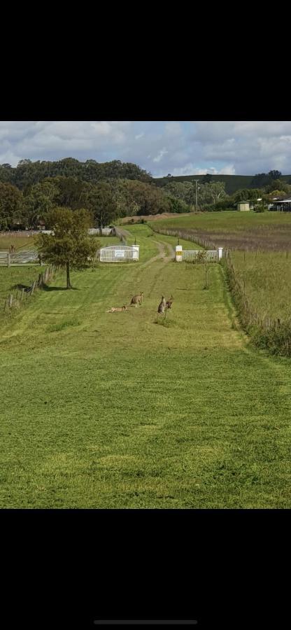 Lochinvar House Oswald エクステリア 写真